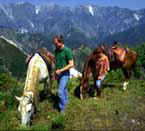 Pferderitt in den Apuanischen Alpen