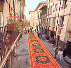 Teppich aus Sägespäne in Camaiore